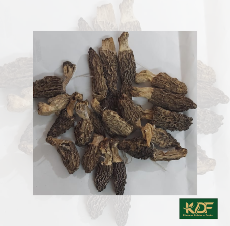 Guchhi (Morel Mushrooms)